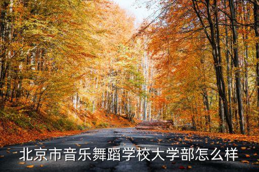 北京市音乐舞蹈学校大学部怎么样