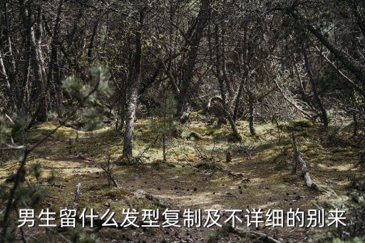 男生留什么发型复制及不详细的别来