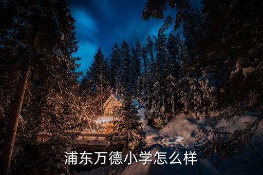 灌口田头小学怎么样，浦东万德小学怎么样