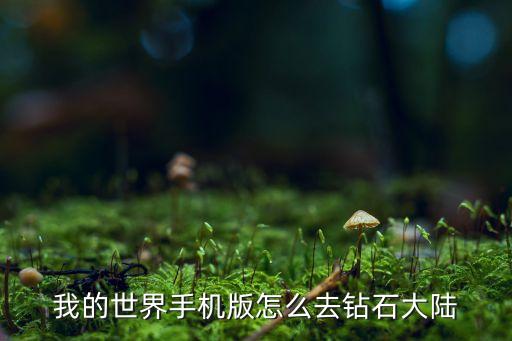 我的世界手机版怎么去钻石大陆