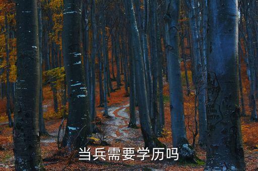 哪里有部队题材的舞蹈，求军旅主题的舞蹈