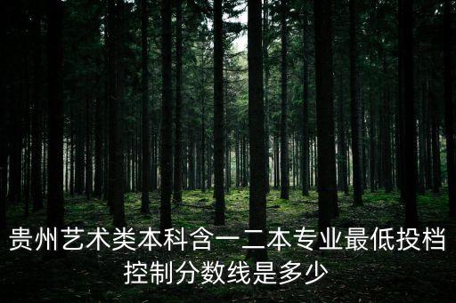 贵州艺术类本科含一二本专业最低投档控制分数线是多少