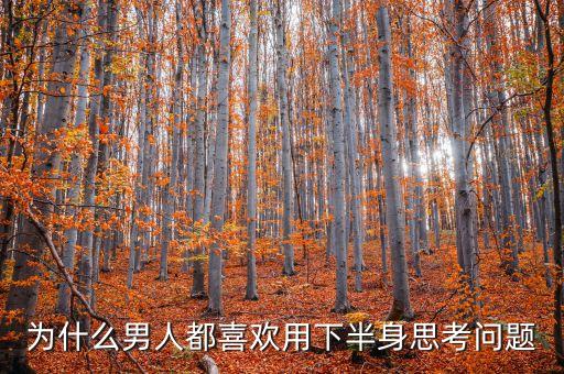 为什么男人都喜欢用下半身思考问题