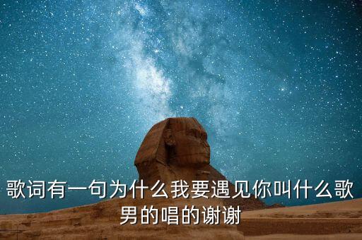 歌词有一句为什么我要遇见你叫什么歌男的唱的谢谢
