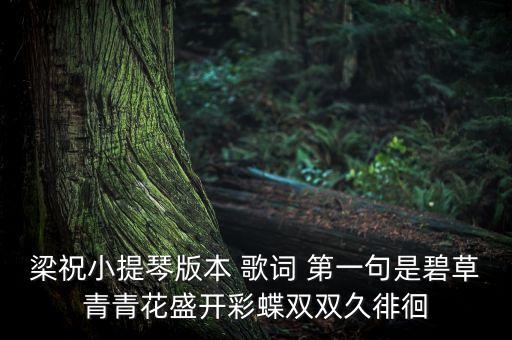 梁祝小提琴版本 歌词 第一句是碧草青青花盛开彩蝶双双久徘徊