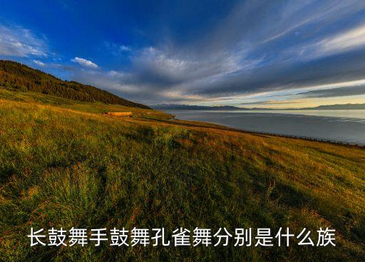 儿童舞动旋律舞蹈是哪个民族，长鼓舞手鼓舞孔雀舞分别是什么族