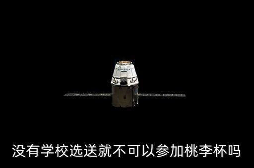 没有学校选送就不可以参加桃李杯吗