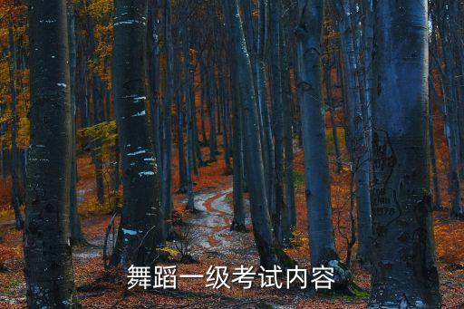 舞蹈一级考试内容