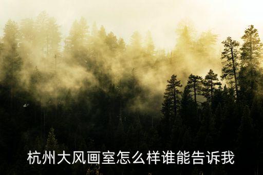 杭州大风画室怎么样谁能告诉我