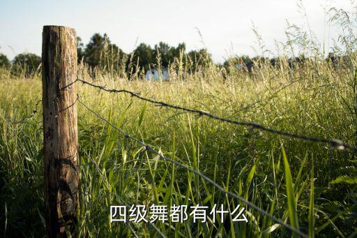 四级舞都有什么