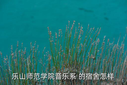 乐山师范学院音乐系 的宿舍怎样