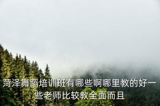东丰舞蹈哪里交的好，辽源东丰哪有学街舞的
