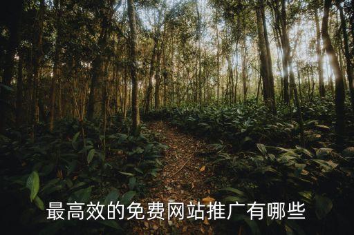 快手流量推广免费网站，最高效的免费网站推广有哪些