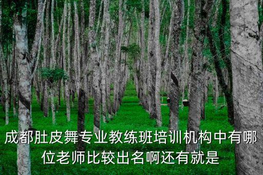 杨娟肚皮舞怎么样，成都肚皮舞杨娟国际肚皮舞学校的最新教练班开班时间是多少啊