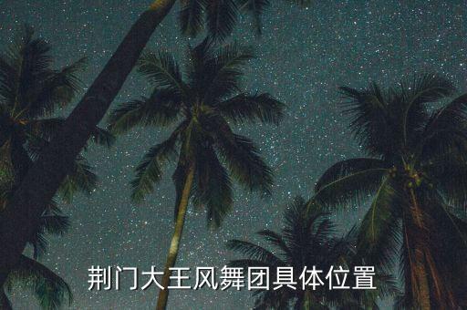荆门大王风舞团具体位置