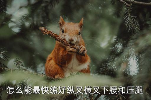 怎么能最快练好纵叉横叉下腰和压腿
