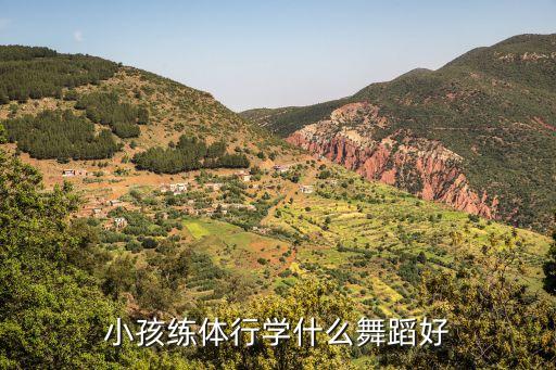 小孩练体行学什么舞蹈好