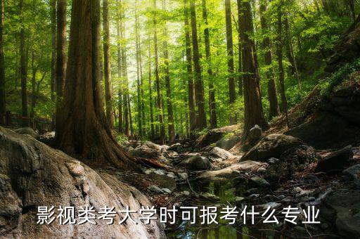 影视类考大学时可报考什么专业