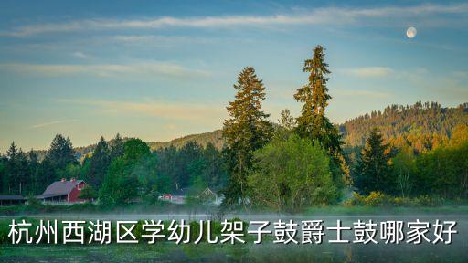 杭州西湖区学幼儿架子鼓爵士鼓哪家好