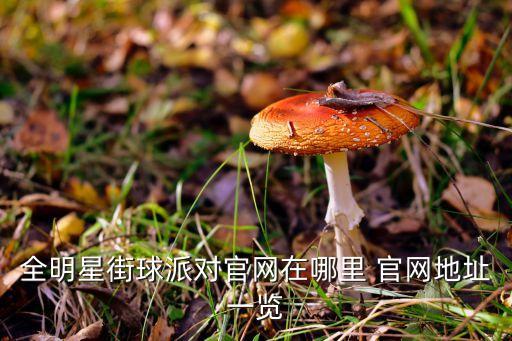 全明星街球派对官网在哪里 官网地址一览