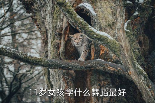 11岁女孩学什么舞蹈最好