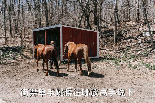舞蹈怎么摆腰，街舞单手跳腰往哪放高手说下