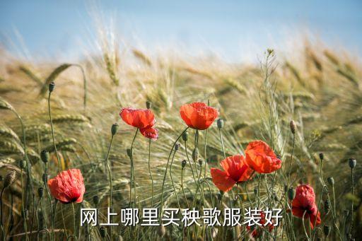 网上哪里买秧歌服装好
