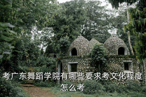 广东舞蹈戏剧学院自主招生，考广东舞蹈学院有哪些要求考文化程度怎么考