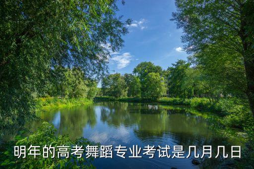 艺考舞蹈要考什么时候开始，河北体育舞蹈艺术联考的时间