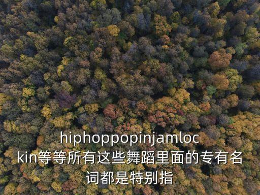 hiphoppopinjamlockin等等所有这些舞蹈里面的专有名词都是特别指
