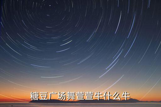 糖豆广场舞萱萱牛什么牛