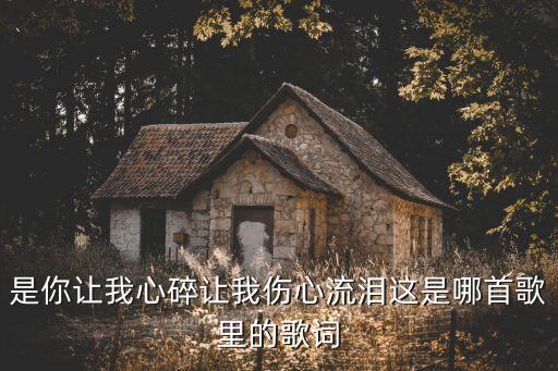 是你让我心碎让我伤心流泪这是哪首歌里的歌词