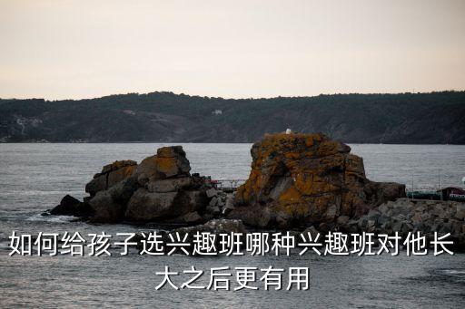 如何给孩子选兴趣班哪种兴趣班对他长大之后更有用