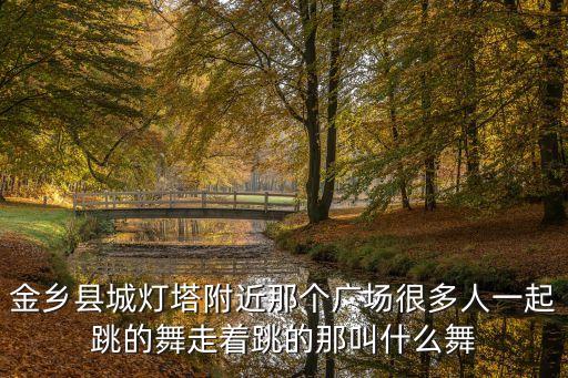 金乡县城灯塔附近那个广场很多人一起跳的舞走着跳的那叫什么舞