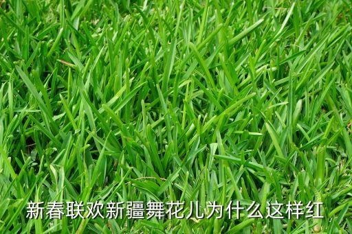 新春联欢新疆舞花儿为什么这样红