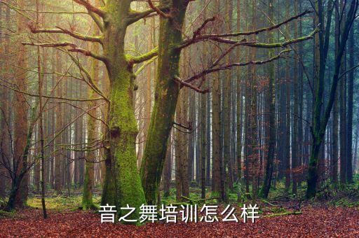 音之舞培训怎么样