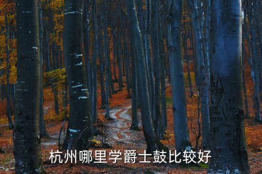 杭州哪里学爵士鼓好，杭州哪里学爵士鼓比较好