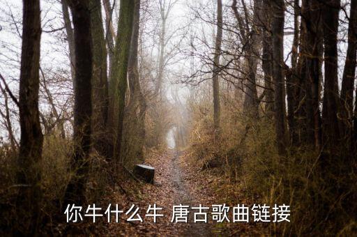 你牛什么牛 唐古歌曲链接