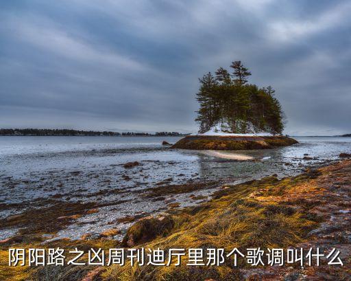 阴阳路之凶周刊迪厅里那个歌调叫什么