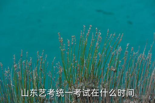 山东艺考统一考试在什么时间