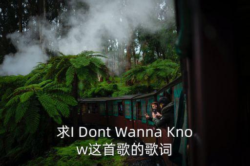 求I Dont Wanna Know这首歌的歌词
