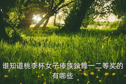 桃李杯独舞金奖有哪些，谁知道桃李杯女子傣族独舞一二等奖的有哪些