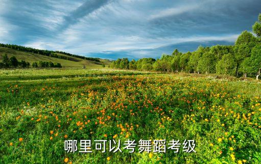 哪里可以考舞蹈考级