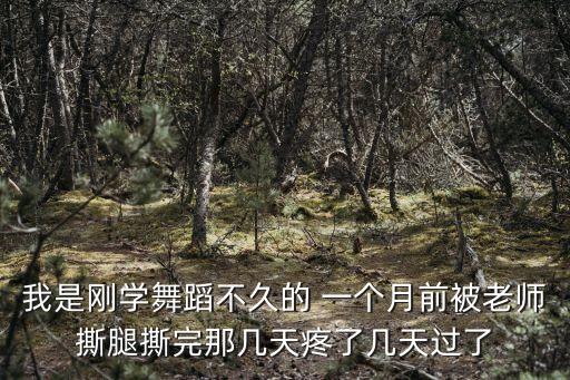 学舞蹈最疼50个动作 照片，我是一名学习舞蹈的舞者在上课撕腿的时大腿后侧被撕出了一个筋
