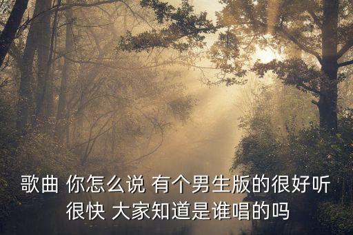 歌曲 你怎么说 有个男生版的很好听 很快 大家知道是谁唱的吗