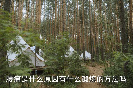 腰痛是什么原因有什么锻炼的方法吗