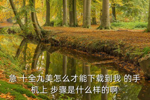 急 十全九美怎么才能下载到我 的手机上 步骤是什么样的啊