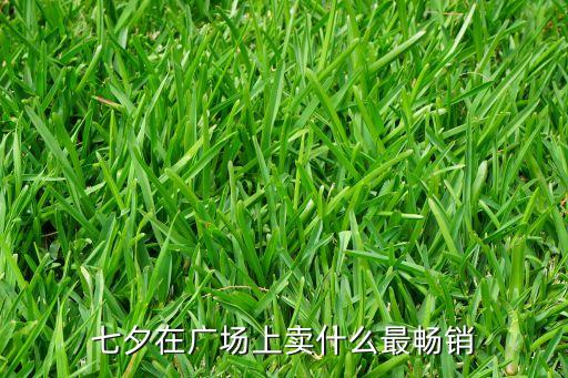 广场什么最畅销，七夕在广场上卖什么最畅销