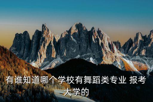 有谁知道哪个学校有舞蹈类专业 报考大学的