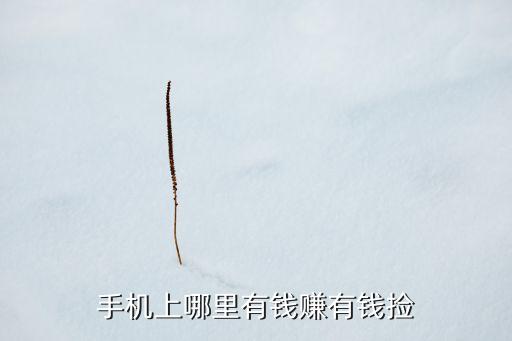 海外版快手tiktok免费，神网e通手机版 下载